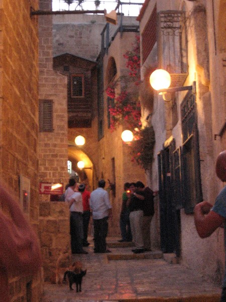 ../Images/Israel_Day1 016.jpg